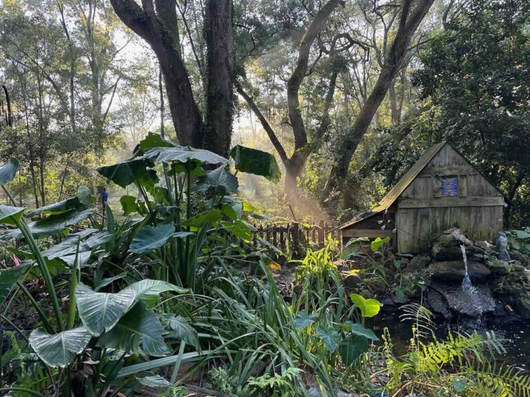 photography by Katrina Browning