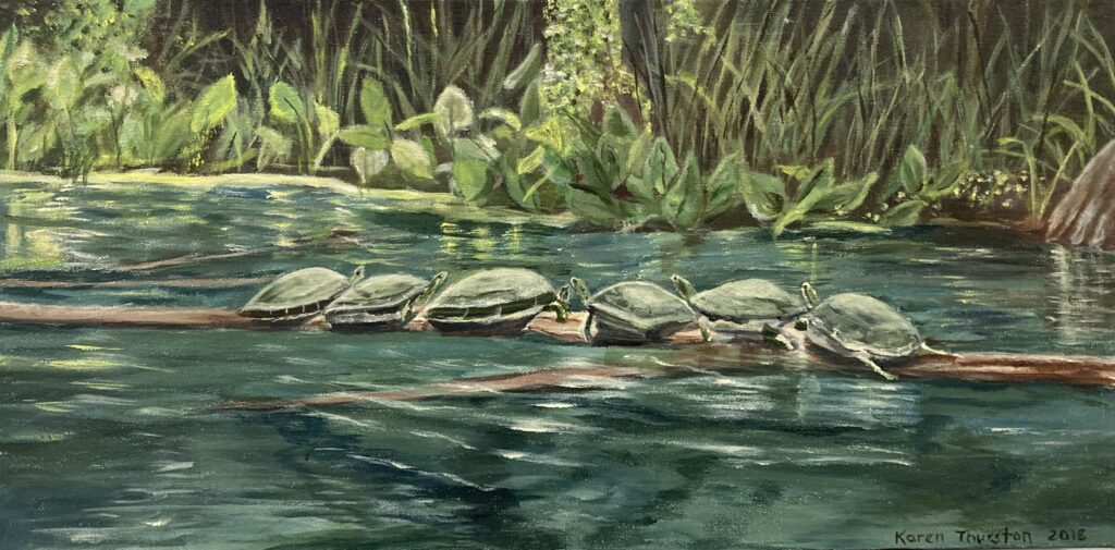 Turtles on the Santa Fe