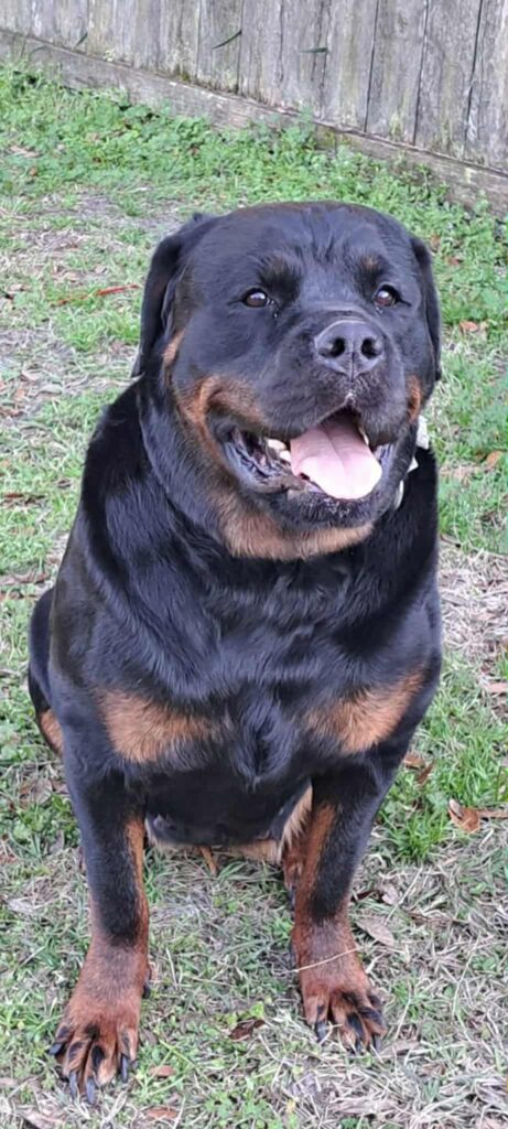 #19 Genaine Bailey – Holly