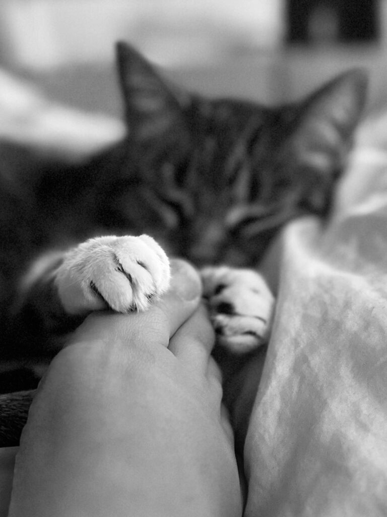 #23 Lisa Eikenberry – Playing Footsie