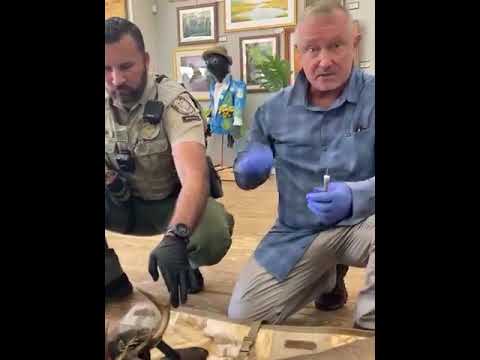 youtube placeholder image