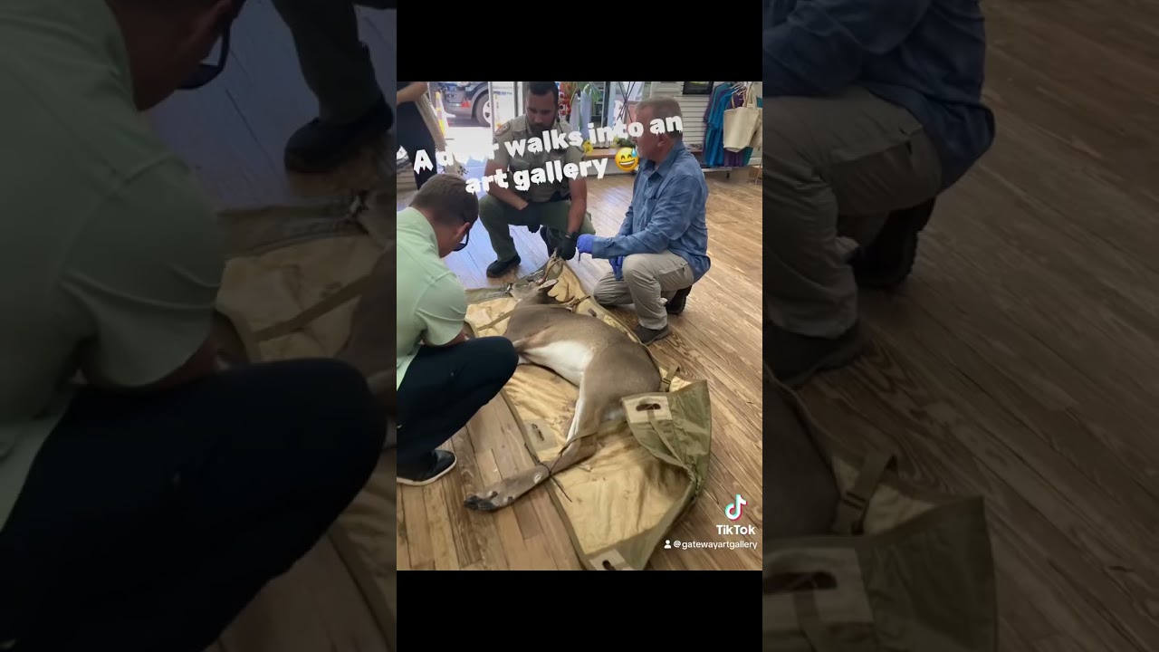 youtube placeholder image